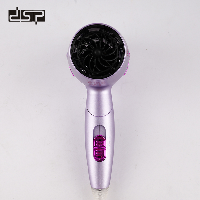 DSP Hair Dryer 30299