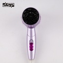 DSP Hair Dryer 30299