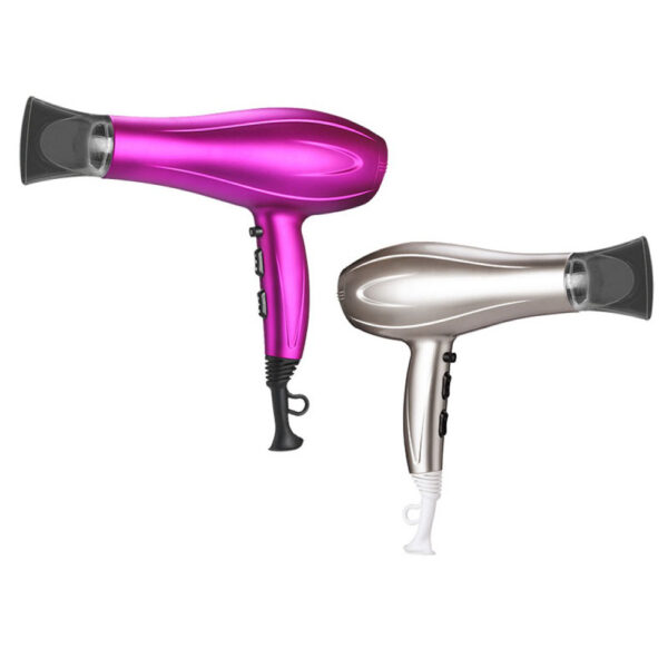 DSP Hair Dryer 30087