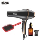 DSP Hair Dryer 30215