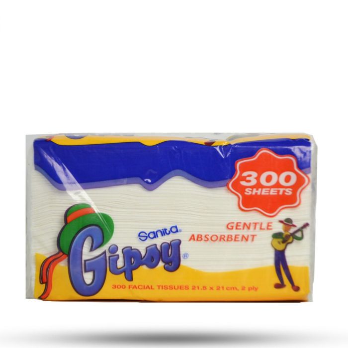 Gipoy Wipes 300 Sheets