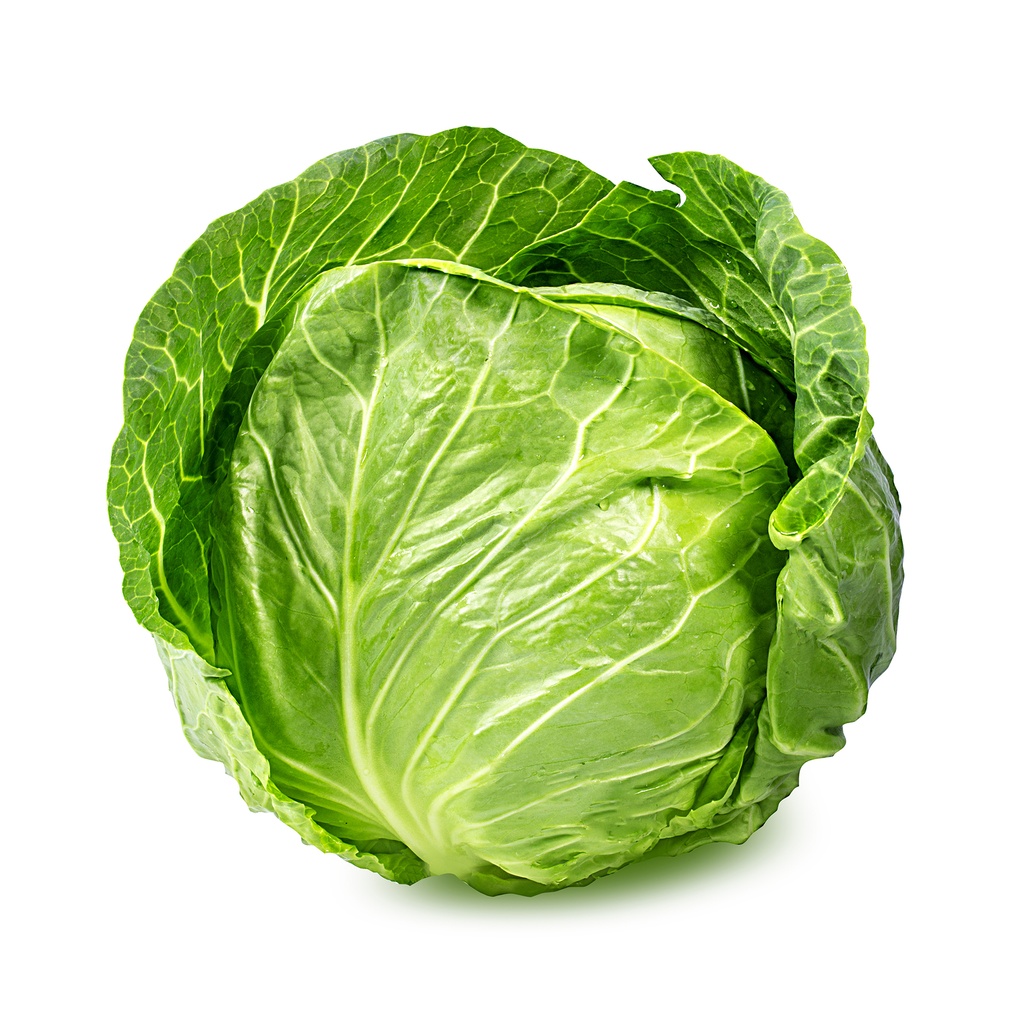 Green Cabbage