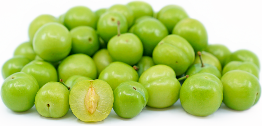 Persian Green Plum