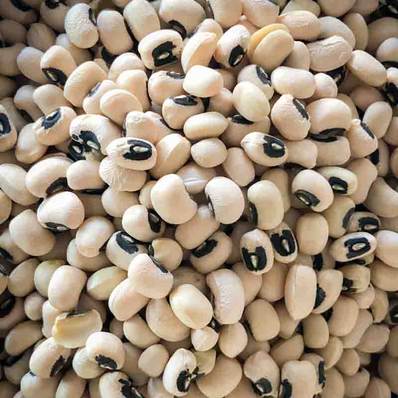 Black-eyed Pea