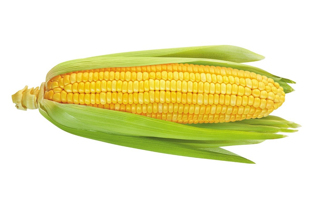 Corn