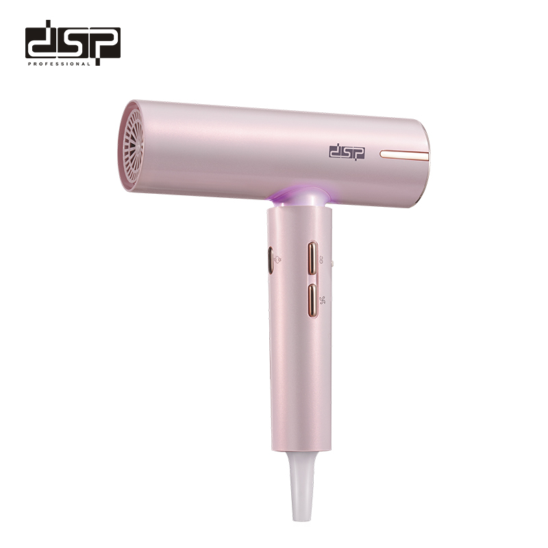 DSP Hair Dryer 30256