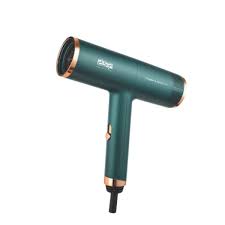 DSP  Hair Dryer 30253