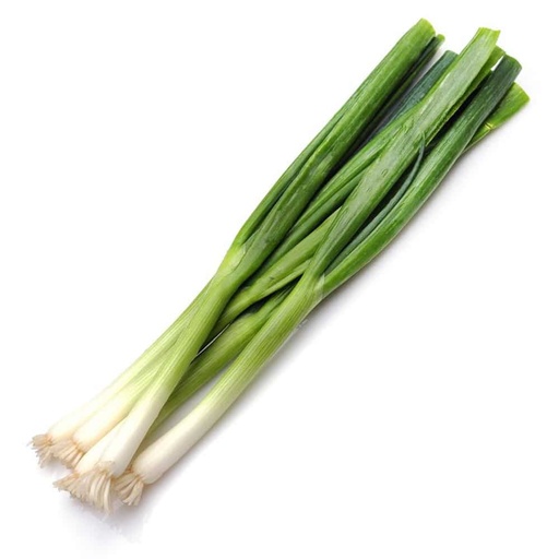 Green Onion 1Pcs