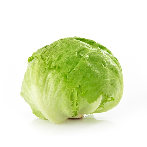 American lettuce